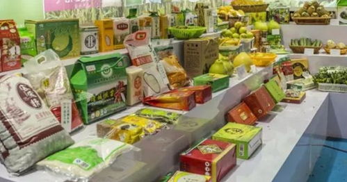 食品經營 合規與創新的雙輪驅動